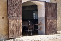 Tschechien_2010_372m