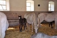Tschechien_2010_377m