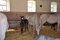 Tschechien_2010_378m
