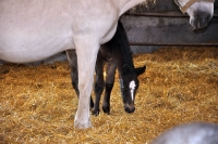 Tschechien_2010_381m