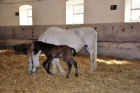 Tschechien_2010_384m