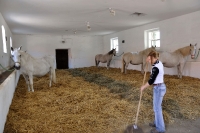 Tschechien_2010_386m