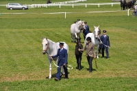 Tschechien_2010_511m