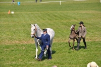 Tschechien_2010_512m