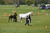Tschechien_2010_513m