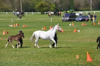 Tschechien_2010_514m