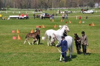 Tschechien_2010_515m