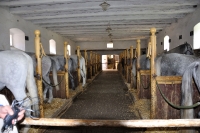 Tschechien_2010_326m