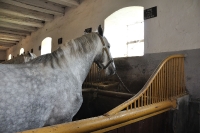 Tschechien_2010_327m