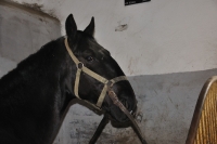 Tschechien_2010_331m