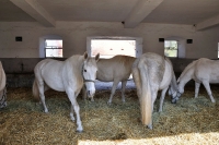 Tschechien_2010_335m