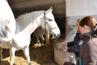 Tschechien_2010_339m
