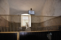 Tschechien_2010_366m