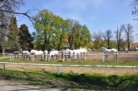 Tschechien_2010_517m