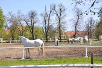 Tschechien_2010_518m