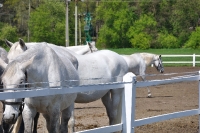 Tschechien_2010_521m