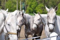 Tschechien_2010_522m