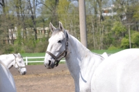 Tschechien_2010_523m