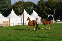 Frankreich_20100918_090842