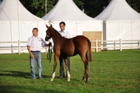Frankreich_20100918_091002