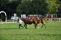 Frankreich_20100918_091134