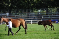 Frankreich_20100918_091244