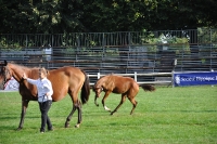 Frankreich_20100918_091244_01