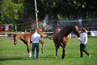 Frankreich_20100918_091246