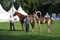 Frankreich_20100918_091424