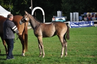 Frankreich_20100918_091428