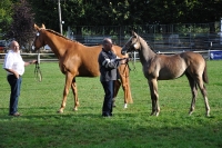 Frankreich_20100918_091538
