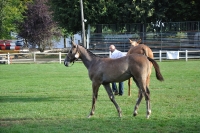 Frankreich_20100918_091638