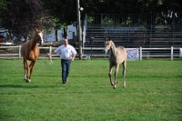 Frankreich_20100918_091700