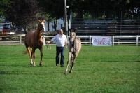 Frankreich_20100918_091702