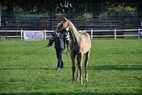 Frankreich_20100918_091708