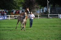 Frankreich_20100918_091728_01