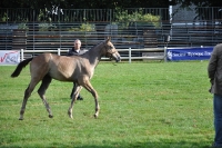 Frankreich_20100918_091730