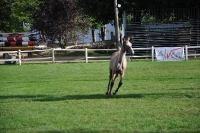 Frankreich_20100918_092106_01