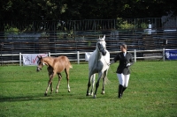 Frankreich_20100918_092336