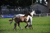 Frankreich_20100918_092338