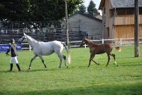 Frankreich_20100918_092344