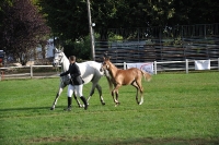 Frankreich_20100918_092348_01