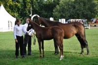 Frankreich_20100918_092632