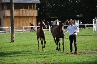 Frankreich_20100918_092752