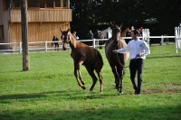 Frankreich_20100918_092754