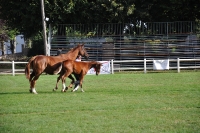 Frankreich_20100918_093132