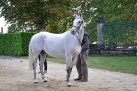 Frankreich_20100918_100544