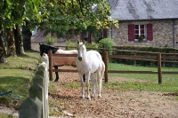 Frankreich_20100917_140647