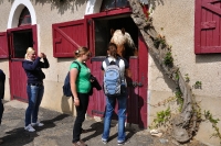 Frankreich_20100917_142226