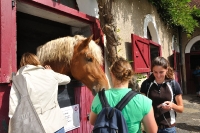 Frankreich_20100917_142238
